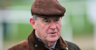 Paul Oconnell - International - JP McManus's International Rugby Experience in Limerick records losses of €1.05m - breakingnews.ie - Ireland