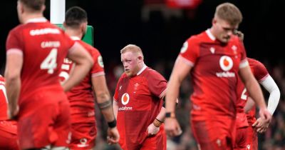 Eben Etzebeth - Alex Mann - Gerhard Steenekamp - Canan Moodie - Jasper Wiese - Wales 0-73 South Africa: Welsh team crumble in record home defeat - walesonline.co.uk - South Africa