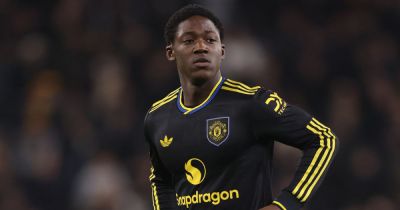 United - Danny Welbeck - Alan Smith - Louis Saha - Ruben Amorim - Joshua Zirkzee - Man United transfer news LIVE - Kobbie Mainoo's 'transfer update' and striker interest - manchestereveningnews.co.uk