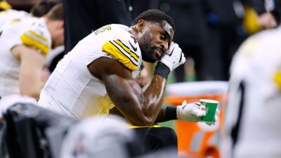 Steelers' DK Metcalf suspended two games for fan altercation - ESPN