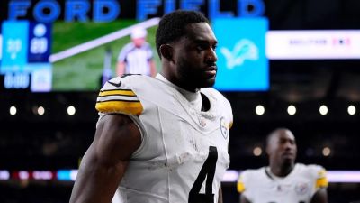 Steelers coach Mike Tomlin shows support for star who took swing at Lions fan