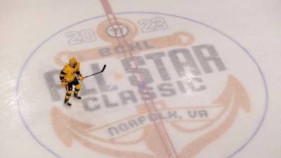 ECHL, players' union reach tentative new CBA deal, ending strike - ESPN