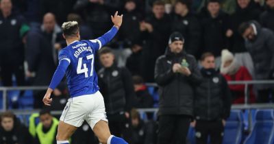 David Turnbull - Chris Willock - Isaak Davies - Cardiff City 2-1 Stevenage: Robinson and Salech goals help Bluebirds secure comeback win - walesonline.co.uk - city Cardiff