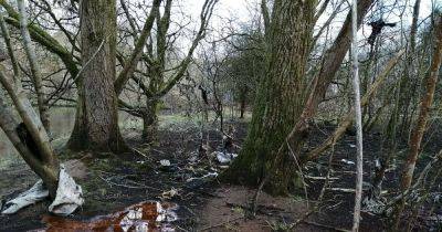 The Mancunian Way: ‘Manky, disgusting, just brown’ - manchestereveningnews.co.uk