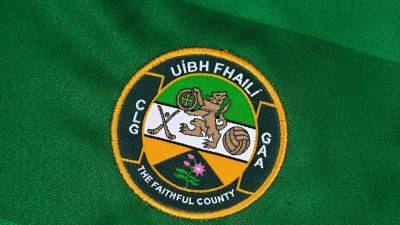 Offaly bring Greg Fennelly's tenure to abrupt end