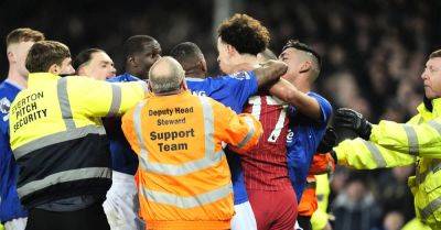 James Tarkowski - Curtis Jones - Goodison Park - Abdoulaye Doucoure - Everton and Liverpool condemn racist abuse directed towards Abdoulaye Doucoure - breakingnews.ie - Mali - Liverpool