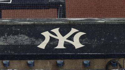 Red Sox - Williams - Yankees prospect taken to hospital due to allergic reaction at spring training - foxnews.com - Usa - New York - state Indiana - state Alabama - county Valley - county Hudson