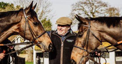 'Jittery' Nicky Henderson reveals Cheltenham Festival fears as Constitution Hill spearheads redemption bid