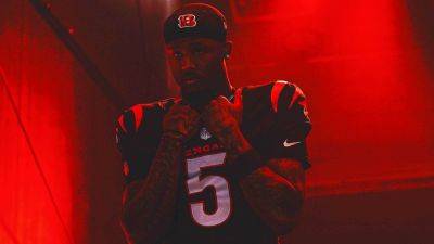 Chris Godwin - Tee Higgins, 4 other NFL players who excelled during their franchise-tag season - foxnews.com - New York - county Eagle - Jordan - county Bay