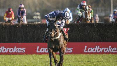 Nicky Henderson - Katate Dori lands lucrative Kempton handicap - rte.ie