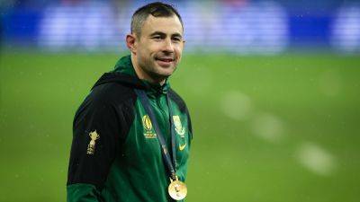 Rassie Erasmus - Felix Jones - Felix Jones returns to South Africa set-up - rte.ie - Britain - France - South Africa - Japan - Ireland - county Brown