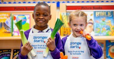 Tesco is giving away slow cookers and £4 million of fruit and veg to 400 schools to schools in deprived areas