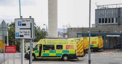 Boy, 13, arrested at hospital for 'impersonating a doctor' after turning up wearing scrubs and fake ID - manchestereveningnews.co.uk - county Plymouth