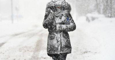 Met Office verdict on ‘Beast from the East’ and whether it will bring deep freeze to UK