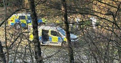 Police swoop on local beauty spot after tip-off