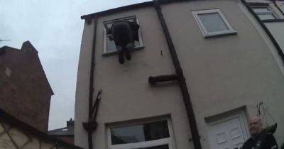 Not criminal masterminds: Meet Greater Manchester’s most hapless crooks - manchestereveningnews.co.uk