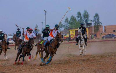 Kaduna equestrian firm set to debut in Lagos Polo Tournament - guardian.ng - Nigeria