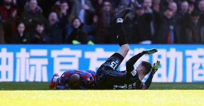 Eddie Nketiah - Matt Turner - Jean-Philippe Mateta - Philippe Mateta - Steve Parish - Josh Coburn - Liam Roberts - Jean-Philippe Mateta injury overshadows Crystal Palace’s victory over Millwall - breakingnews.ie - France - county Roberts