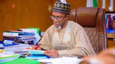 Ex-Kaduna LG chair Rabo defends minister against sack over nonperformance - guardian.ng - Nigeria