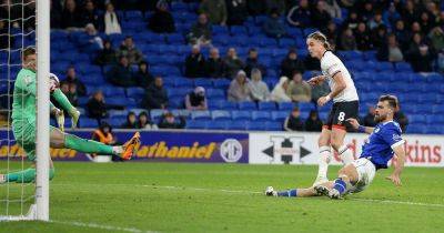 Cardiff City 1-2 Luton Town: Bluebirds' survival hopes take major dent after throwing away lead against Hatters