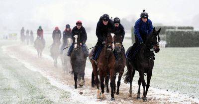 ‘Fool’s spring’ fears as snow hits Cheltenham three days after 18C temperatures