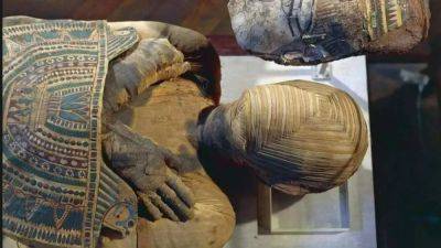 The Bashiri mystery: A 2,300-year-old Egyptian mummy that no archaeologist dares to open - euronews.com - Egypt - county Kings - county Valley