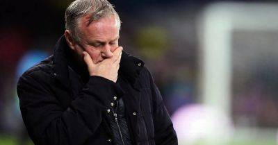 Michael O’Neill vows Northern Ireland will learn from ‘harsh’ Sweden rout