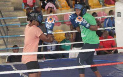 Rivers State banks on weightlifting, swimming, boxing, para-powerlifting to win NDSF - guardian.ng - Nigeria - Niger