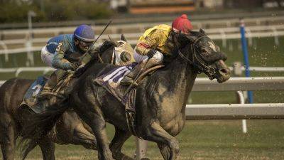 New York officials cancel horse racing at racetrack over 'unacceptable noise levels' from nearby casino