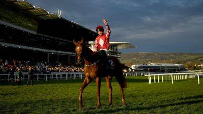 'It would be very special' - Michael O'Sullivan in mind as Cian Collins eyes Jazzy Matty victory at Cheltenham Festival