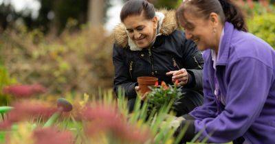 Helping Hands provides trusted care in the place you love - your home