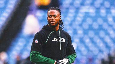 Chris Godwin - Christian Kirk - Davante Adams, Chris Godwin top Keyshawn Johnson's list of NFL free-agent WRs - foxnews.com - state Tennessee