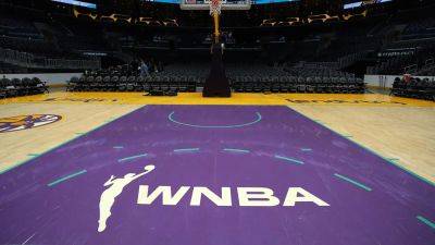 WNBA faces ridicule for celebrating 'Transgender Day of Visibility'