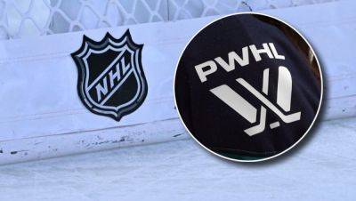 David Pastrnak - Connor Macdavid - Here's The Rule NHL Players Want To Steal From PWHL The Most - foxnews.com - county Crosby