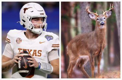 Donald Trump - Quinn Ewers - Sam Hodde - Quinn Ewers Watches NFL Draft In Room Chock Full Of Insane Hunting Trophy Kills - foxnews.com - state Texas - county Arlington - state Ohio