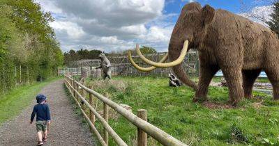 We went to the zoo voted UK's second best after Chester - and it's half the price - manchestereveningnews.co.uk - Britain