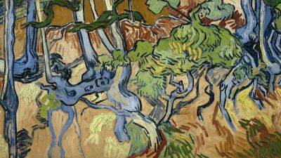 Court rules in favour of homeowners in land dispute over site of Van Gogh's final painting - euronews.com
