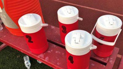 New Mexico HS baseball player charged, team suspended amid allegations teen urinated in opponents' water jug