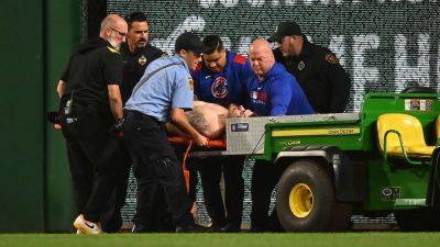 Gene J.Puskar - Baseball fan's fall 'accidental in nature,' police say, as graphic video shows incident - foxnews.com - New York - county Park