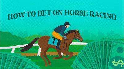 How to bet on Horse Racing: The beginner's guide to wagering on the ponies - foxnews.com