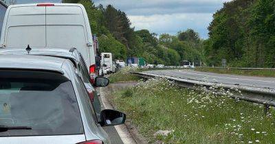 Horsebox crash shut both sides of M4 - walesonline.co.uk