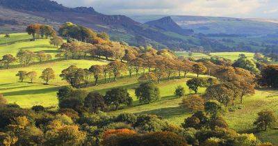 Discover how AI can enhance your connection with nature - manchestereveningnews.co.uk