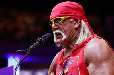 Hulk Hogan Goes Back To 'Hollywood' Look & Has The Internet Buzzing - foxnews.com - Usa