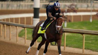 Kentucky Derby field at 19 with Grande scratch; owner 'shocked' - ESPN - espn.com - New York