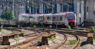 Live updates as trains delayed between Cardiff and Newport after animals found on line