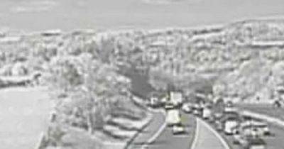 Live M66 traffic updates as 'police incident' that left woman seriously injured leaves motorway blocked