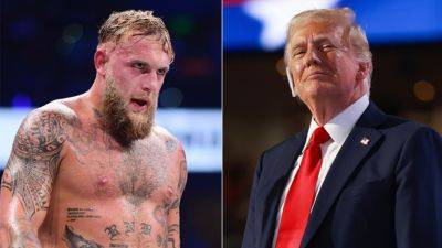 Jake Paul - Logan Paul - Elon Musk - Donald Trump - Jake Paul claims Republican party has 'alpha male' problem amid Trump-Musk meltdown - foxnews.com