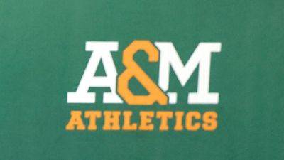 FAMU AD Angela Suggs accused of stealing over $24K at ex-job - ESPN - espn.com - county Leon