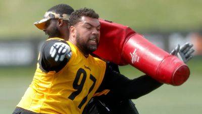 Aaron Rodgers - Caleb Williams - Kirby Lee - Steelers veteran Cameron Heyward reveals 'hardest part' of training camp in touching post - foxnews.com - Usa - Georgia - county Charles - state Pennsylvania - state Ohio