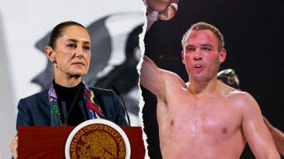 Mexico President expects boxer Julio César Chávez Jr. to be deported, hopes he serves sentence in home country - foxnews.com